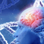 Zrzut ekranu 2025-11-18 o 17.43.11