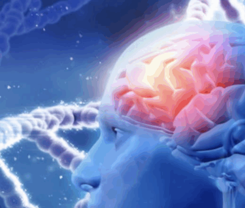 Zrzut ekranu 2025-11-18 o 17.43.11 Zrzut ekranu 2025-11-18 o 17.43.11