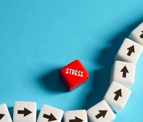 Zrzut ekranu 2026-03-16 o 11.11.17